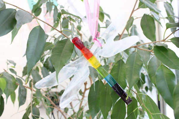 Rainbow Dragonfly